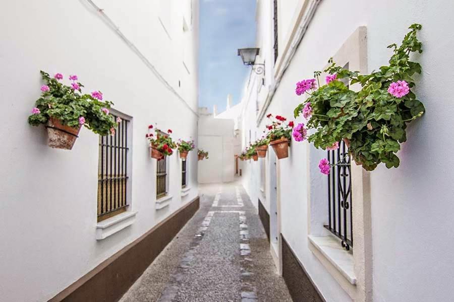 Playa De Punta Candor Apartment *
