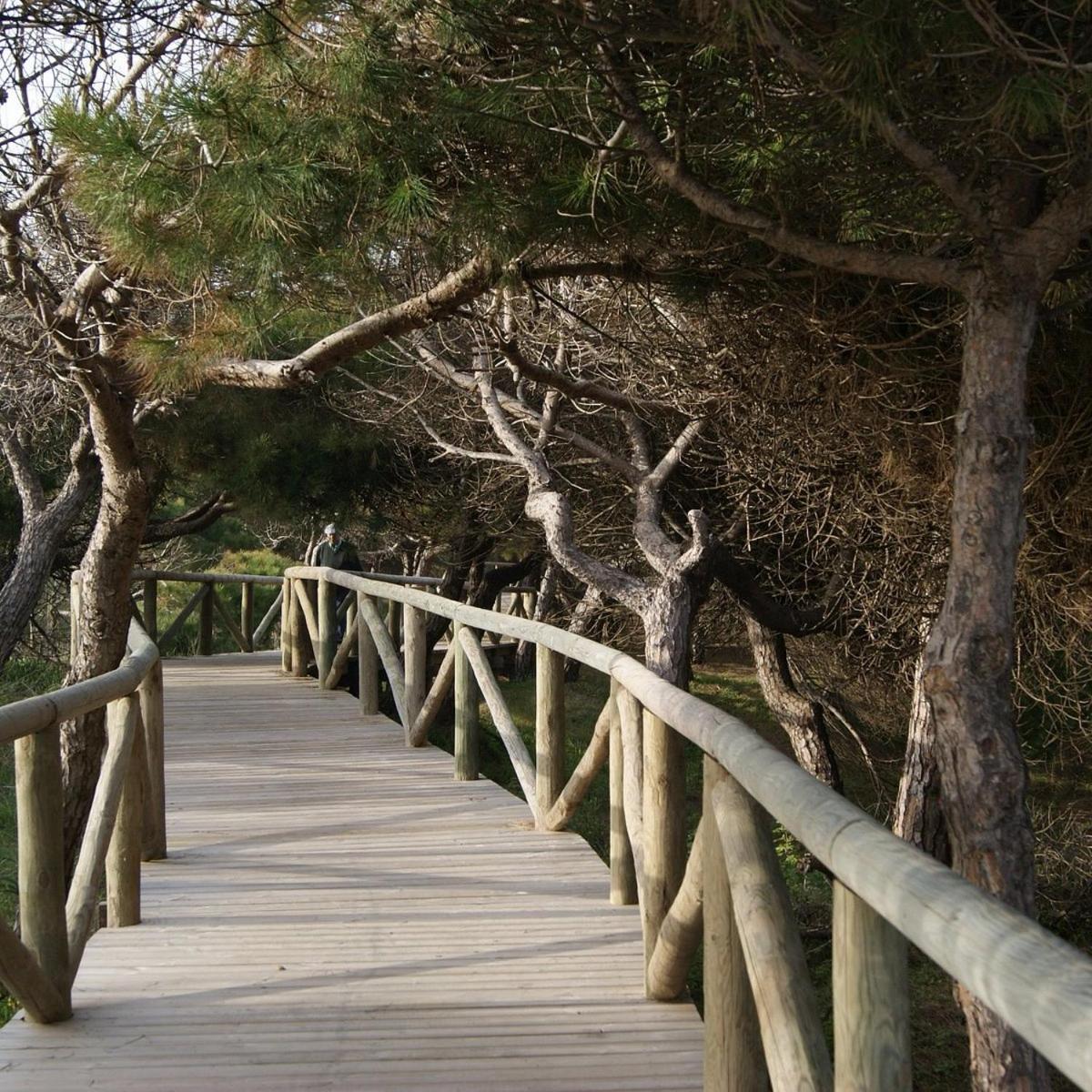 Playa De Punta Candor *